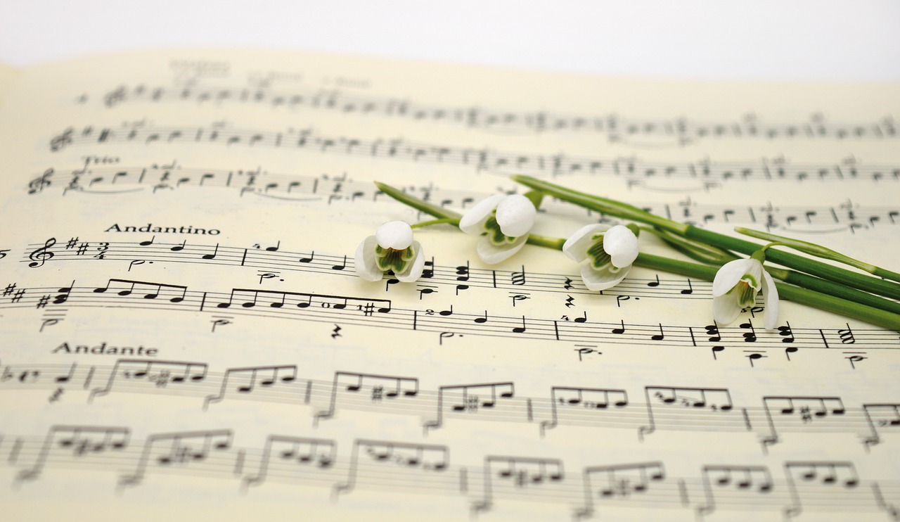 music, sheet music, snowdrop-7107045.jpg